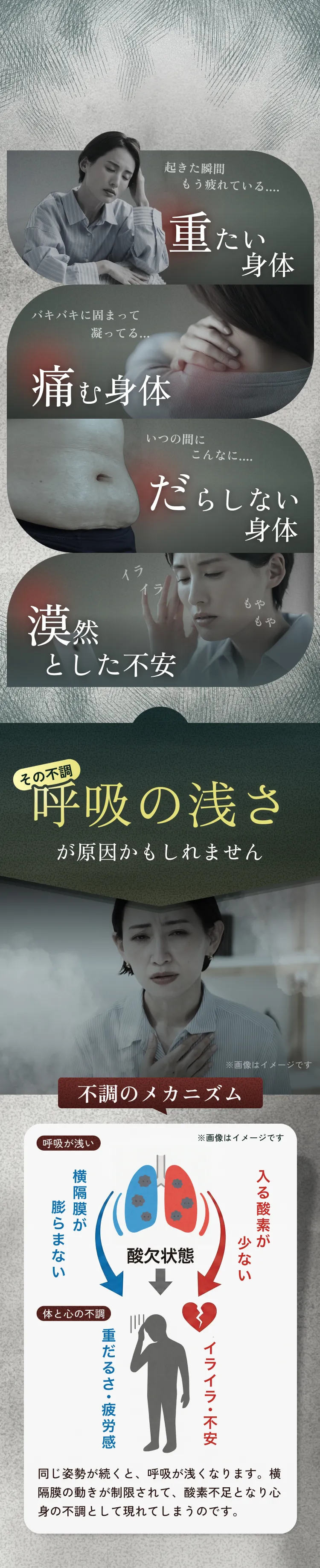 起きた瞬間もう疲れている…重たい身体 バキバキに固まって凝ってる…痛む身体 いつの間にこんなに…だらしない身体 イライラもやもや…漠然とした不安 その不調、呼吸の浅さが原因かもしれません ※画像はイメージです 不調のメカニズム 呼吸が浅い→横隔膜が膨らまない→入る酸素が少ない→酸欠状態→体と心の不調（重だるさ・疲労感、イライラ・不安） 同じ姿勢が続くと、呼吸が浅くなります。横隔膜の動きが制限されて、酸素不足となり心身の不調として現れてしまうのです。