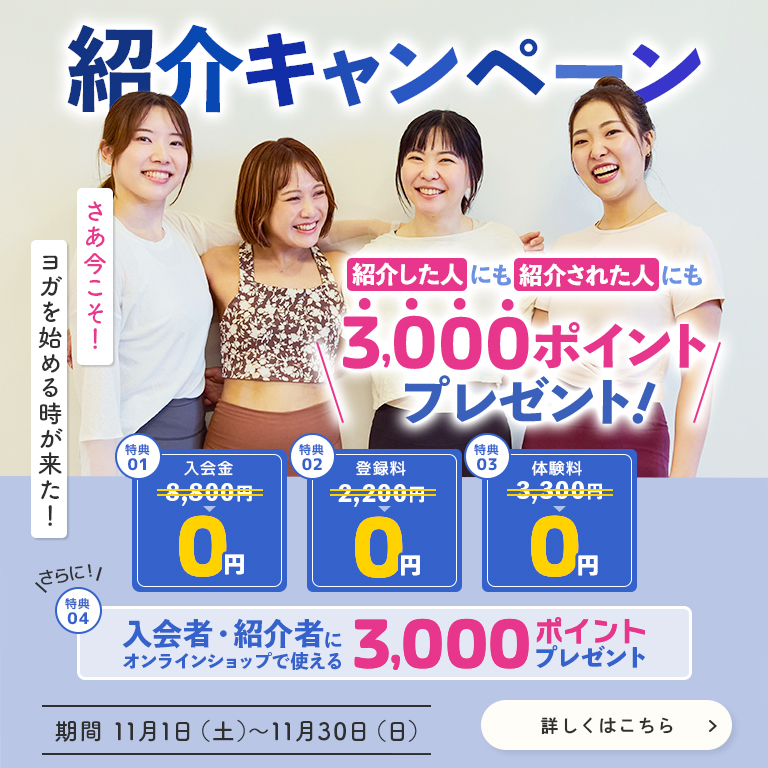 yardogimg_intro_2510